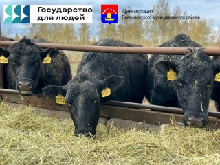Внимание владельцев личных подсобных хозяйств и крестьянских (фермерских) хозяйств!
