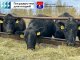 Внимание владельцев личных подсобных хозяйств и крестьянских (фермерских) хозяйств!