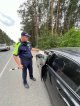 «Скорость не главное!»