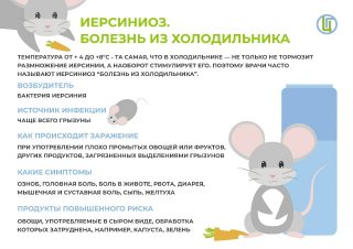 Вот почему свежие овощи опасно хранить в холодильнике!
