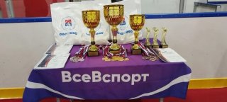 Во Всеволожске прошел районный Чемпионат по хоккею с мячом