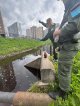 Эконадзор исследует качество воды безымянного ручья в Кудрово