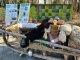 Во Всеволожске отметили День партизанской славы