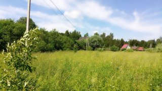 Более 200 га земли Ленинградской области «вовлекут в оборот»