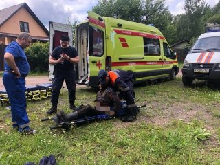 Благих вестей: Недалеко от Углово спасатели нашли пропавшую в лесу бабушку.