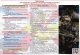 Военный комиссариат Ленинградской области проводит набор граждан