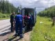 Три часа по болоту и бурелому: Всеволожские спасатели вызволили из леса петербурженку с травмой.