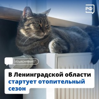 Ленинградская область готова к зиме