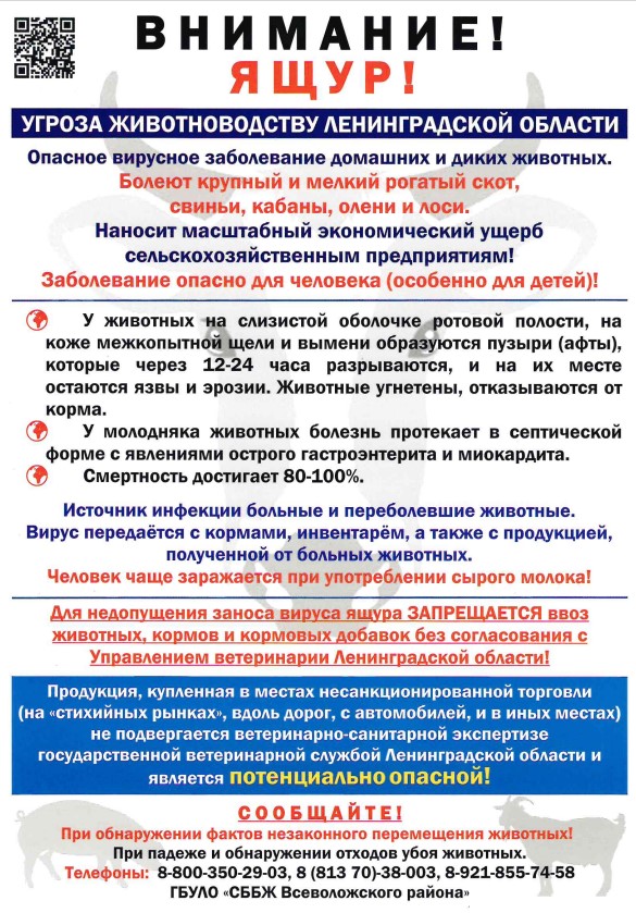 Памятка по острому вирусному заболеванию "Ящур"