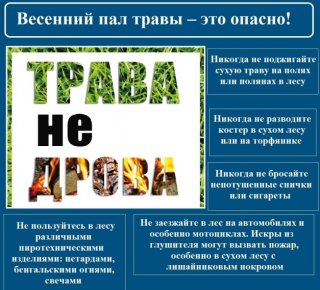 Дорогие жители Всеволожского района, защитим природу вместе!