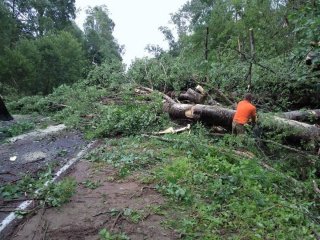Всеволожский район продолжает устранять последствия стихии