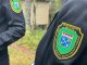 Новые меры по контролю за лесами Ленобласти