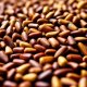 Гарантийная поддержка предприятию из Всеволожска