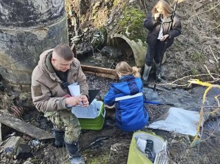 В деревне Лаврики приняты меры по устранению сброса сточных вод