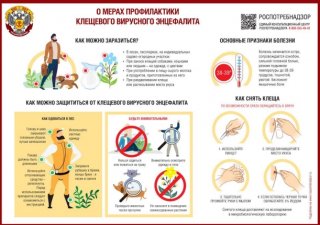 Осторожно, клещи! Как защитить себя и близких?