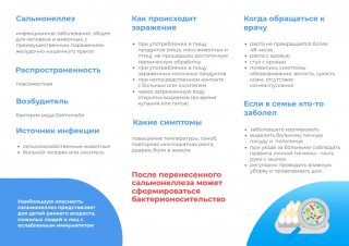 Осторожно, сальмонелла!