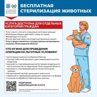 Стерилизация питомцев – бесплатно для льготных категорий граждан