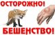 Что необходимо знать про бешенство?