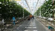 Агрофирма «Выборжец» построит в Ленобласти новый сельскохозяйственный комплекс.