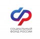 Более 800 жителей СПб и ЛО получают дополнительное материальное обеспечение за выдающиеся достижения и особые заслуги