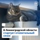 Ленинградская область готова к зиме