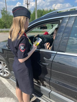 «Осторожно, дикие животные!»