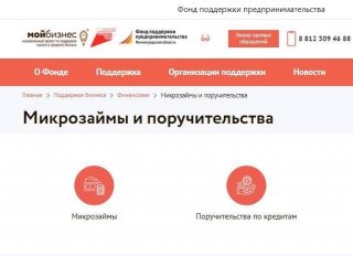 Государственные микрозаймы - в помощь бизнесу.
