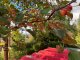 Забвение не коснётся героев!