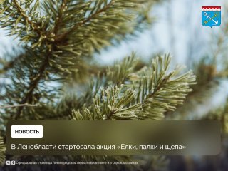 В Ленобласти стартовала акция «Елки, палки и щепа»