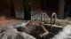 "Заряжаемся бодростью!": Александр Дрозденко окунулся в крещенскую купель на Медном озере в Юкках