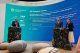 Благодаря ПМЭФ во Всеволожском районе появится более 8 тысяч новых рабочих мест
