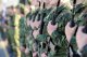 Вниманию родных военнослужащих!