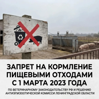 Предупреждение для всех фермеров и владельцев животных!