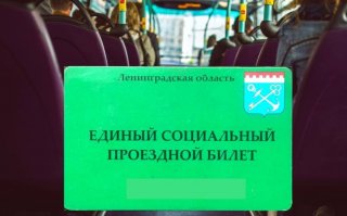 На маршруте № 674 «Токсово – Парнас» появится льготный проезд