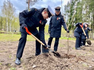  Расти и цвети, чтобы помнили