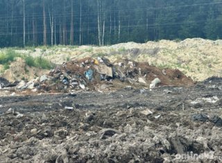 Предприниматель из Петербурга ответит за незаконную свалку вблизи «Невского пятачка»
