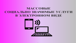 Массовые социально значимые услуги в электроном виде