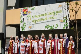 Фестиваль березового сока прошел во Всеволожске