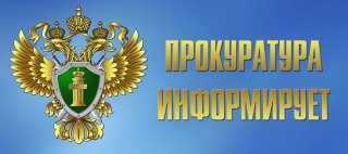 В Ленинградской области прокуратура контролирует соблюдение прав граждан, пострадавших от атаки БПЛА