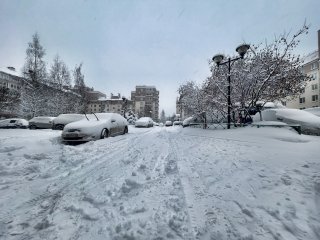 Уважаемые жители Всеволожского района! Внимание! В эти выходные в Ленинградской области объявлен оранжевый уровень погодной опасности.