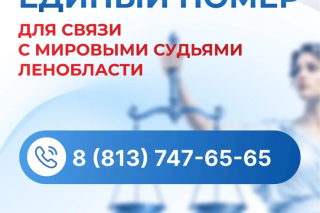 В Ленобласти заработает единый телефон для связи с мировыми судьями
