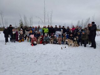 В гости к хаски
