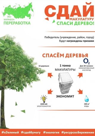 «Сдай макулатуру – спаси дерево!»