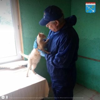 Помощь братьям нашим меньшим
