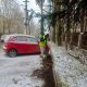 Падал весенний снег