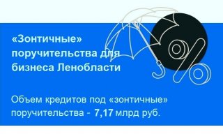Продление «зонтичных» поручительств для предпринимателей