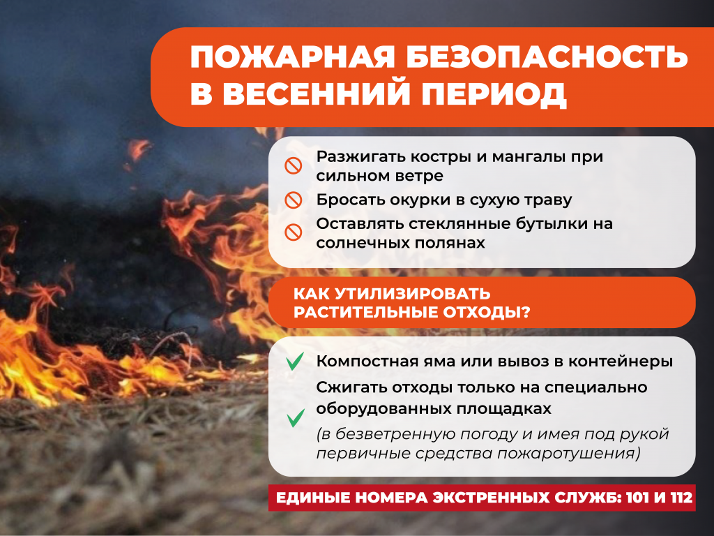 мчс_макет 2.png