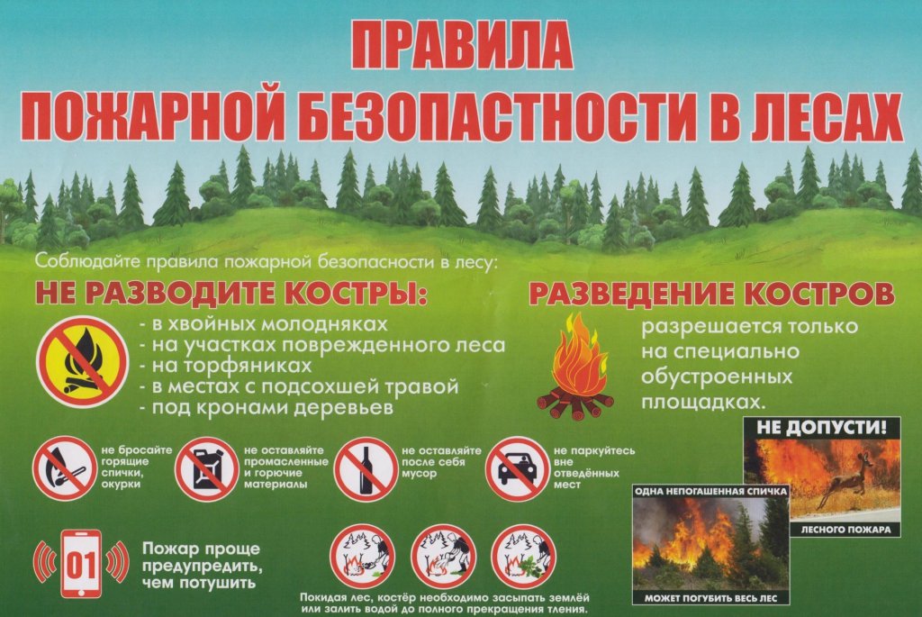 1687938160_mchs-napominaet-soblyudayte-pravila-pozharnoy-bezopasnosti-v-lesah_16608989291014541829__2000x2000.jpg