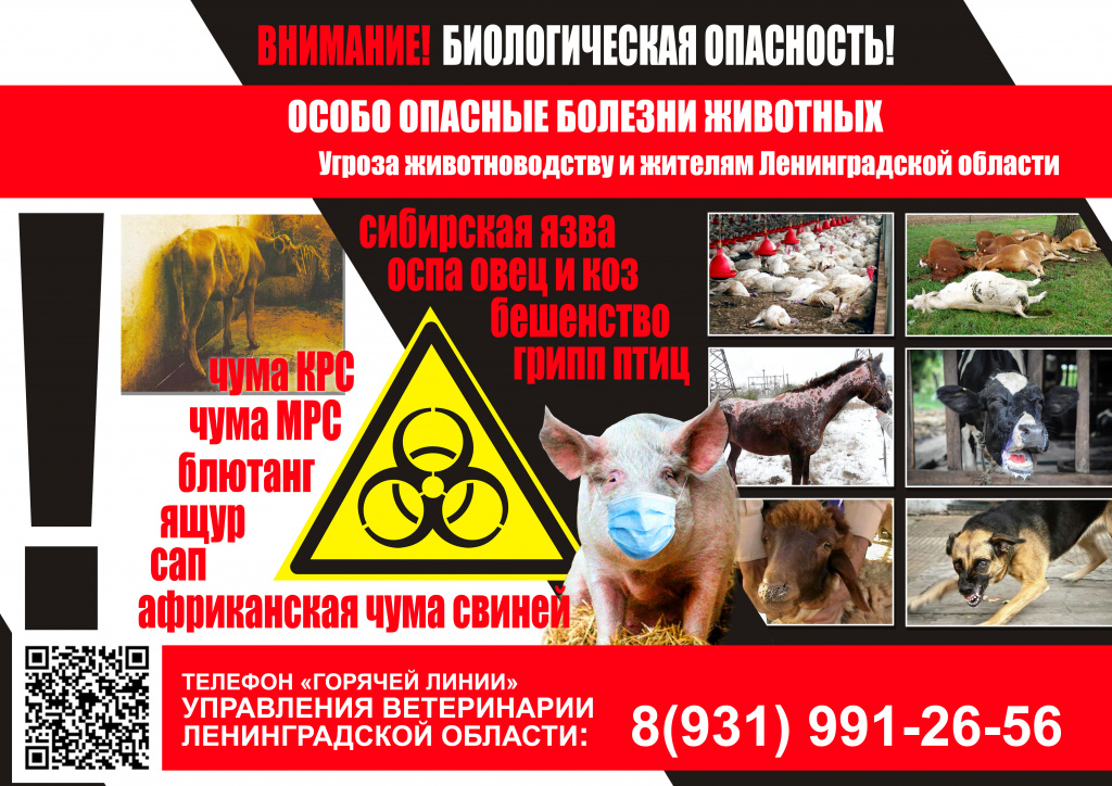 Памятка Лицевая сторона(1).jpg