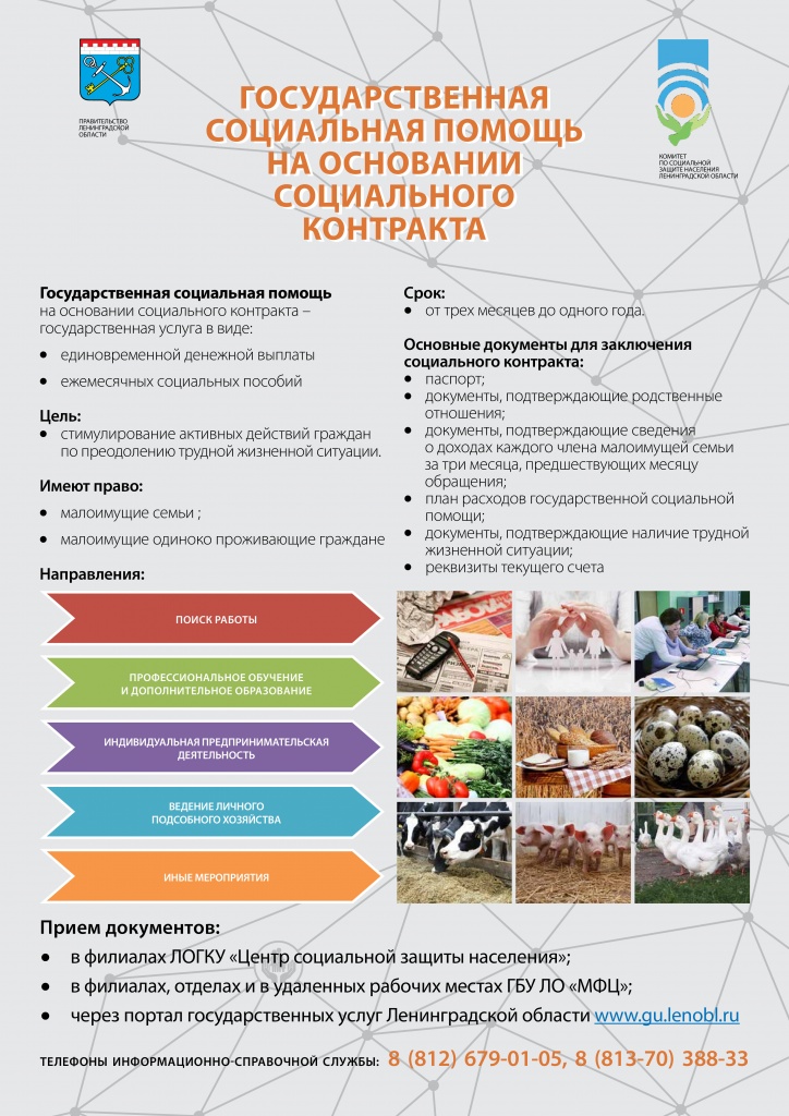 гос.социальная помощь на основании соц. контракта.jpg